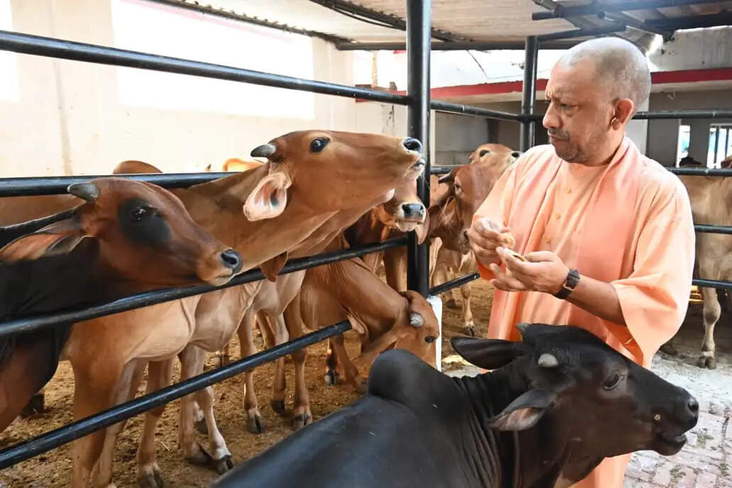 आर्थिक सहायता हो या आवास, सरकार हर जरूरत पर खड़ी है साथ : याेगी आदित्यनाथ