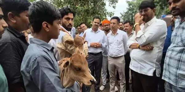 दमोहःनिराश्रित गौ वंश की सेवा और घायलों की शल्य चिकित्सा