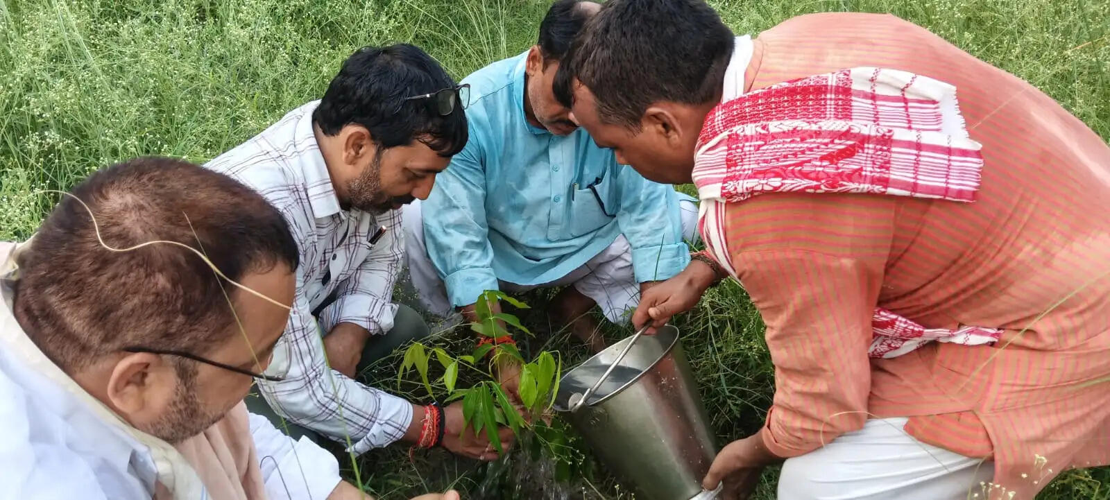 भाजपा ने तीन दिवसीय अभियान में लगाए 565 पौधे