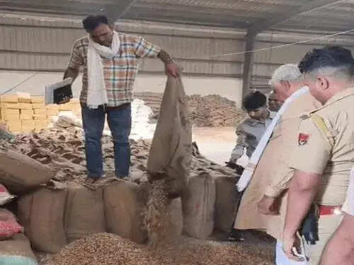 बीज माफिया पर किरोड़ी की ‘सर्जिकल स्ट्राइक’: चमकदार पैकेटों में बिक रहा था किसानों के सपनों का धोखा