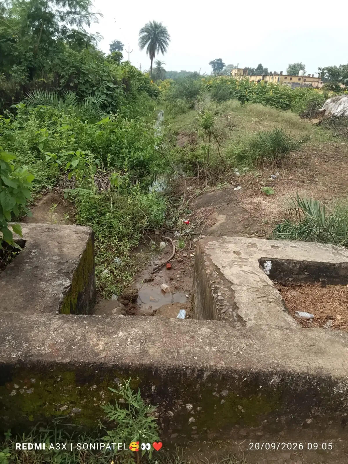 मुख्य नहर लबालब, फिर भी टेल एरिया में पानी की कमी