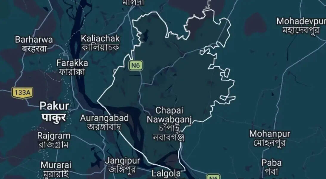 बांग्लादेश में पद्मा नदी में नाव पलटी, 10 लोगों को बीएसएफ ने बचाया