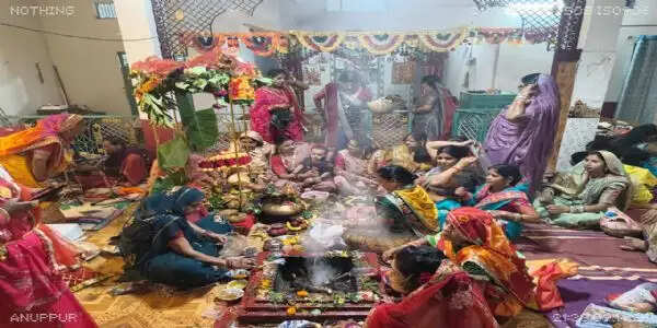 अनूपपुर: पति की दीर्घायु और अखंड सौभाग्य के लिए महिलाओं ने रखा हरतालिका तीज व्रत