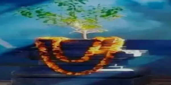 रांची में विश्व तुलसी पूजन दिवस: 20 दिसंबर को वाहन यात्रा से सेवा वितरण