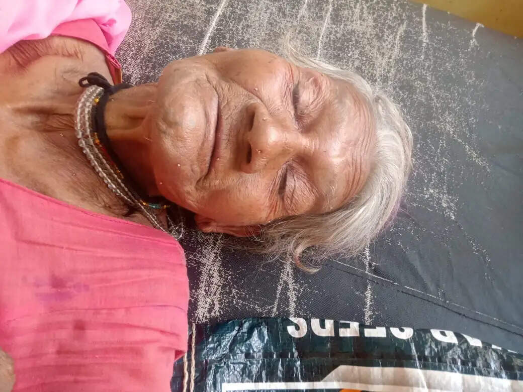 राजगढ़ः बुजुर्ग महिला पर मधुमक्खियों ने किया हमला, हालत गंभीर