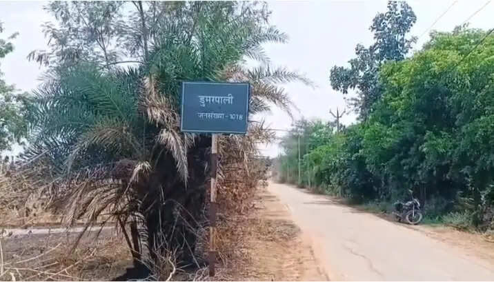 आकाशीय बिजली का कहर: 39 भेड़ और एक बकरी की मौत, चरवाहे को लाखों का नुकसान