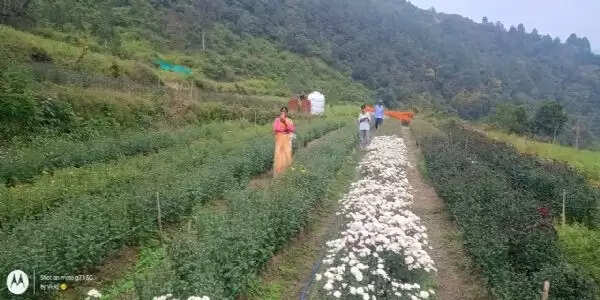 बनेखखाल के कुंड गांव में बंजर भूमि को फिर से किया आबाद