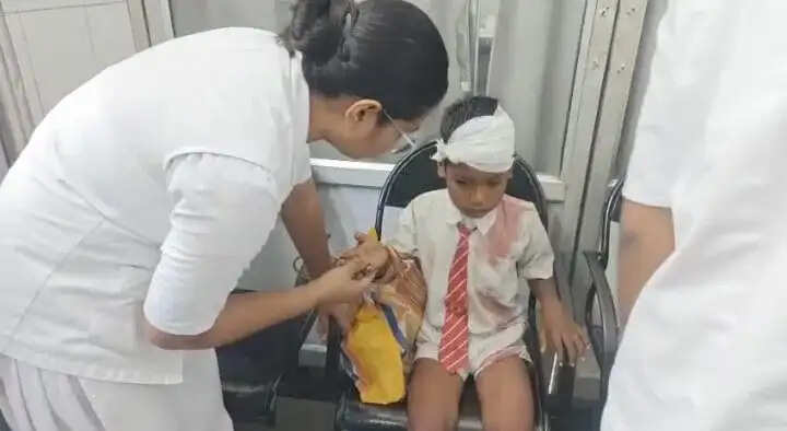 छत्तीसगढ़ के जांजगीर में स्कूली वैन पलटी, 10 बच्चे घायल