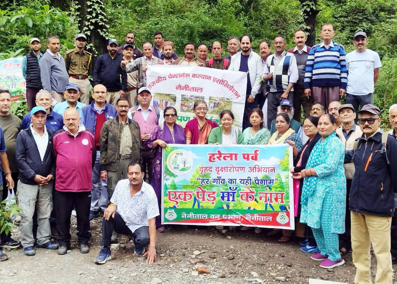 हनुमानगढ़ी के समीप चील चक्कर मोड़ पर पेंशनरों ने लगाए 120 से अधिक पौधे