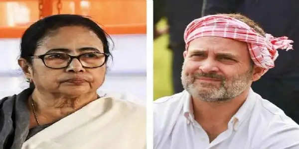 ममता ने उड़ाया राहुल गांधी का मजाक, कहा- शिशु क्या होता है जानते हो