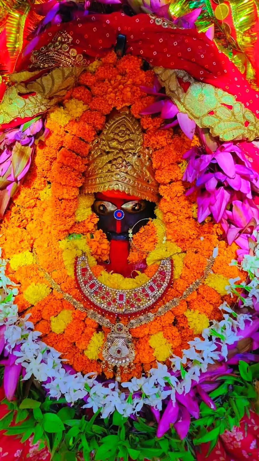 शीतला चौकियां धाम में स्कंदमाता के दर्शन को उमड़े श्रद्धालु, चार घंटे में छह हजार ने टेका माथा