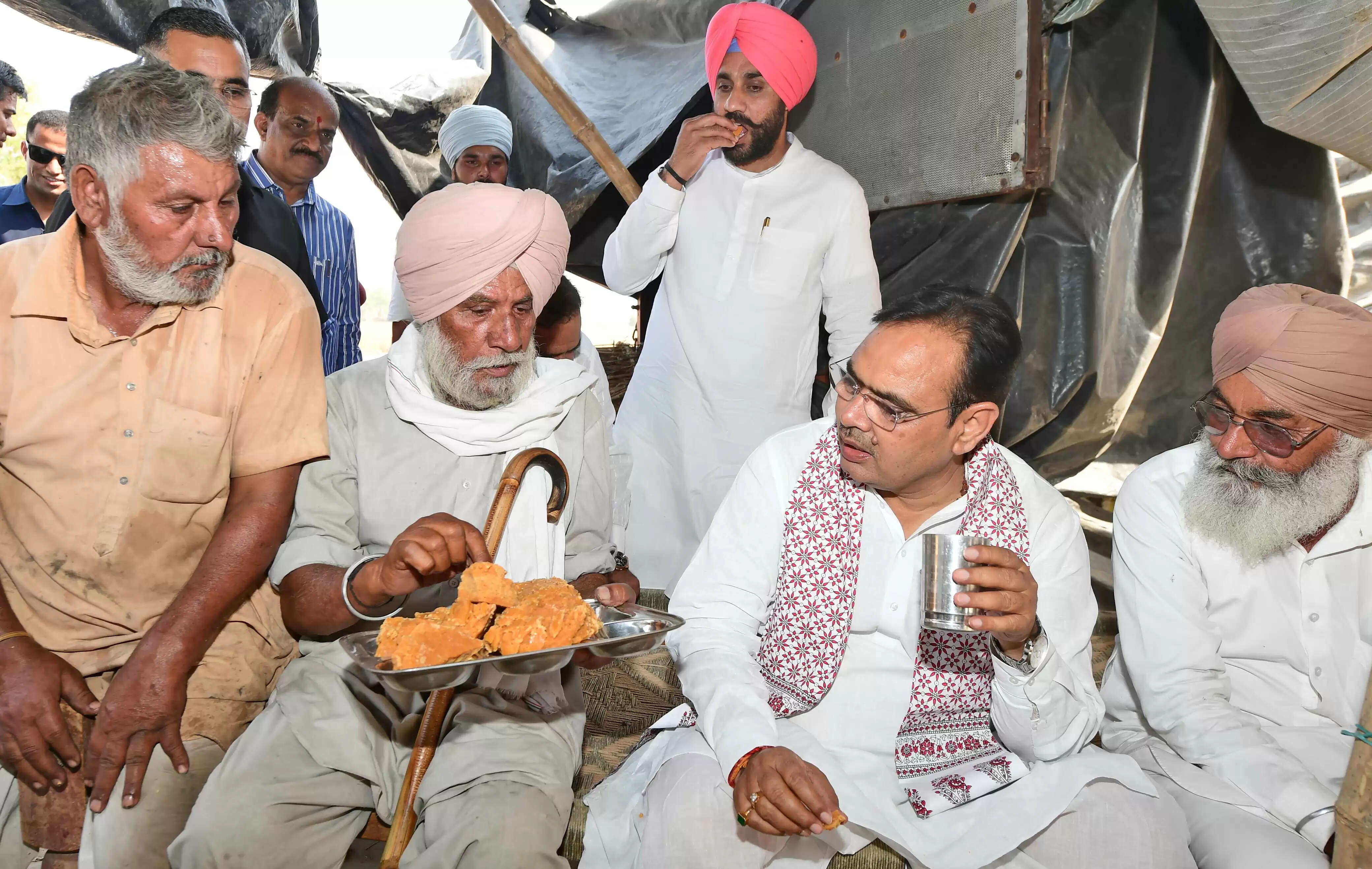 मुख्यमंत्री ने सरसों की एमएसपी पर खरीद का किया शुभारंभ