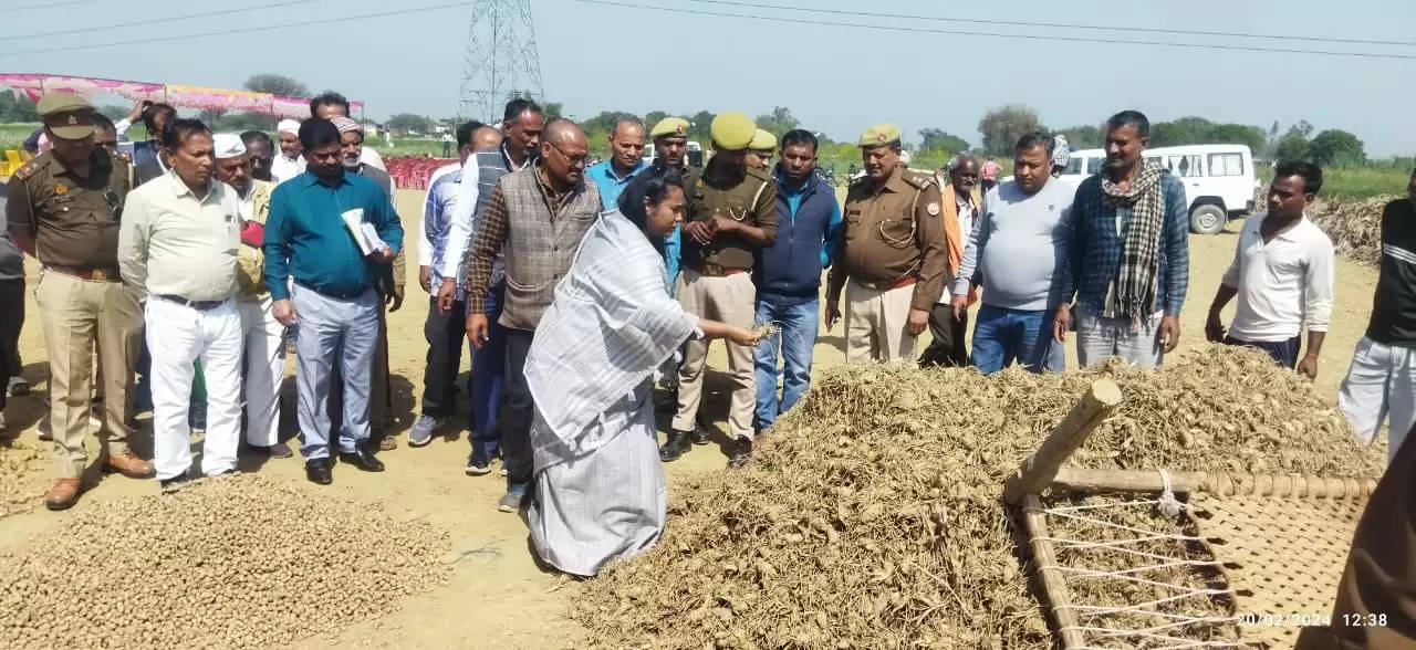 हल्दी उत्पादन व प्रोसेसिंग का हब बनने की दिशा में बढ़ रहा फतेहपुर