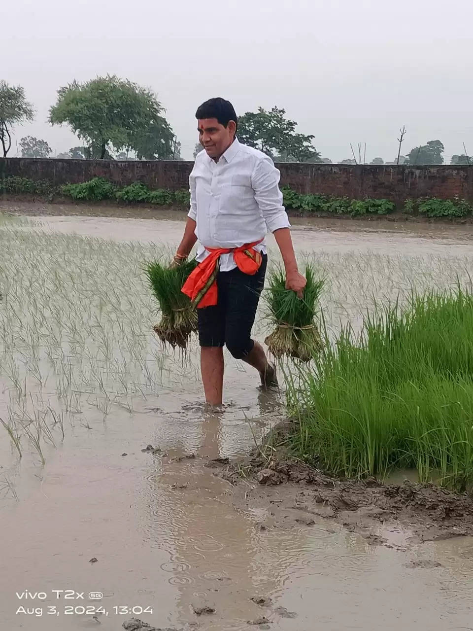 राजस्व मंत्री का बदला रूप, मजदूरों के संग खेत में लगाया रोपा