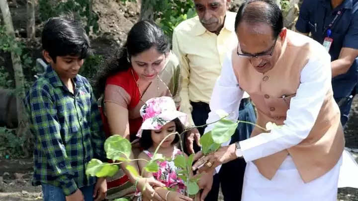 मप्रः मुख्यमंत्री शिवराज ने स्मार्ट उद्यान में लगाए बरगद, अमरूद और करंज के पौधे