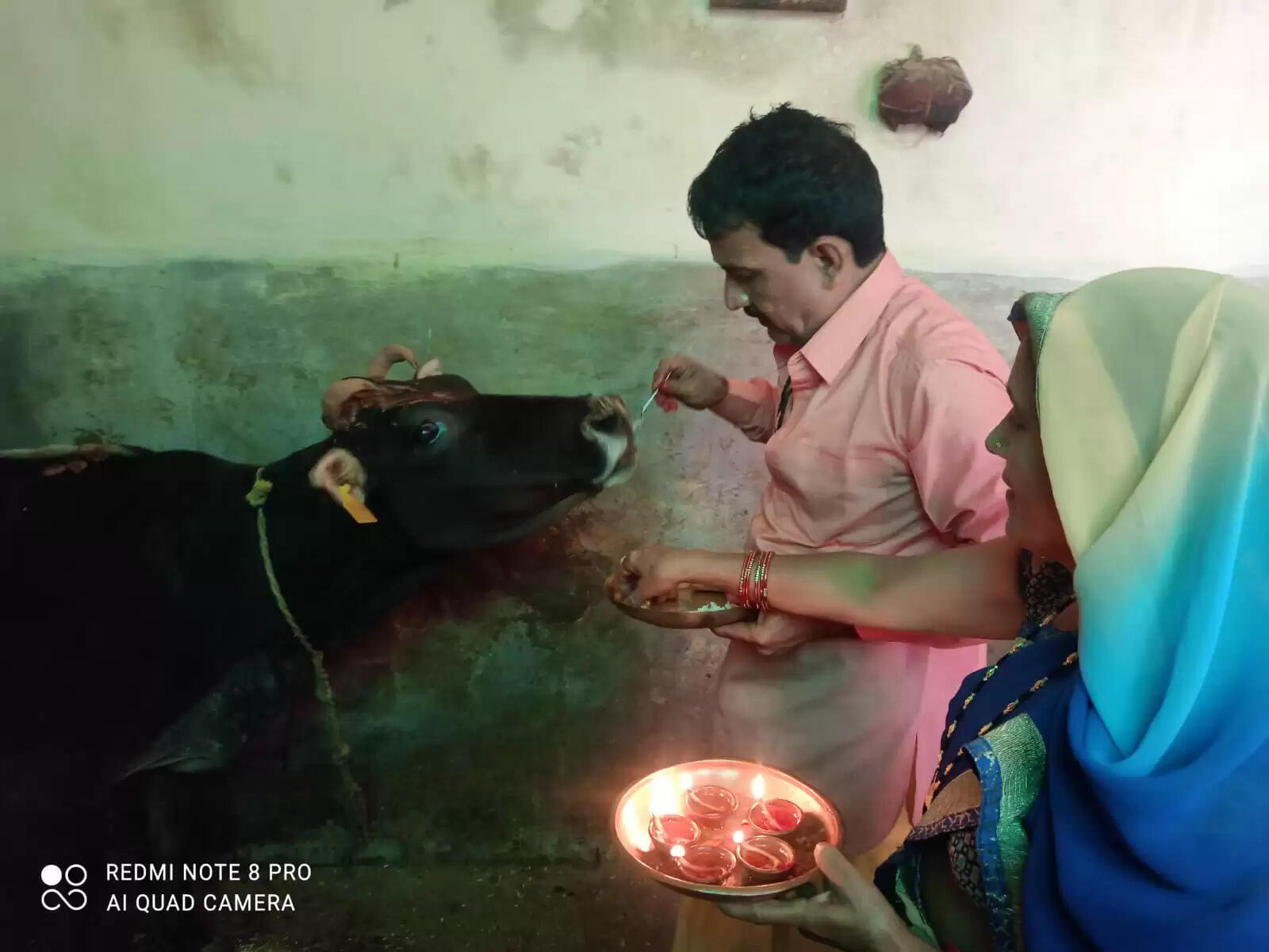 अनूपपुर: गोबर को ईश्वर का रूप दे गौवंश पालकों ने की गोवर्धन पूजा, ग्रमीणों ने लोकगीत व लोकनृत्य कर मनाया पर्व