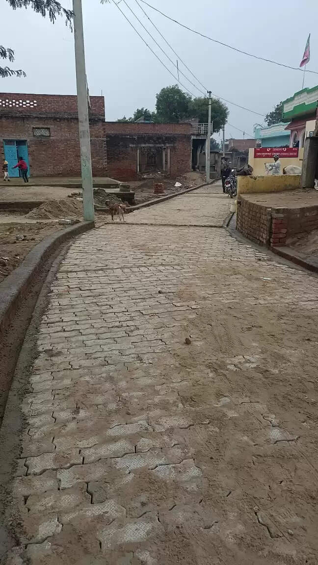 महिला ग्राम प्रधान की सोच से चमक उठी ग्राम पंचायत अकबरपुर