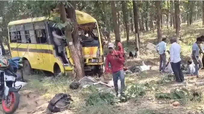 छग में अनियंत्रित होकर पेड़ से टकराई यात्री बस, चालक समेत 6 की मौत, 35 से ज्यादा घायल