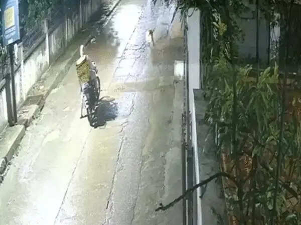 इंदौर के रिहायशी इलाके में घुसा तेंदुआ, डिलीवरी बॉय पर किया हमला,&nbsp;रातभर चला रेस्क्यू, सुबह तक नहीं मिला