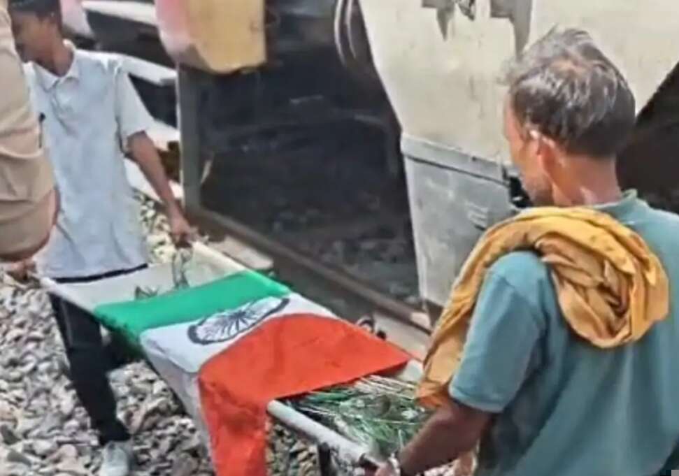 पेंटोग्राफ में फंसा राष्ट्रीय पक्षी मोर, 45 मिनट तक रुकी पैसेंजर ट्रेन