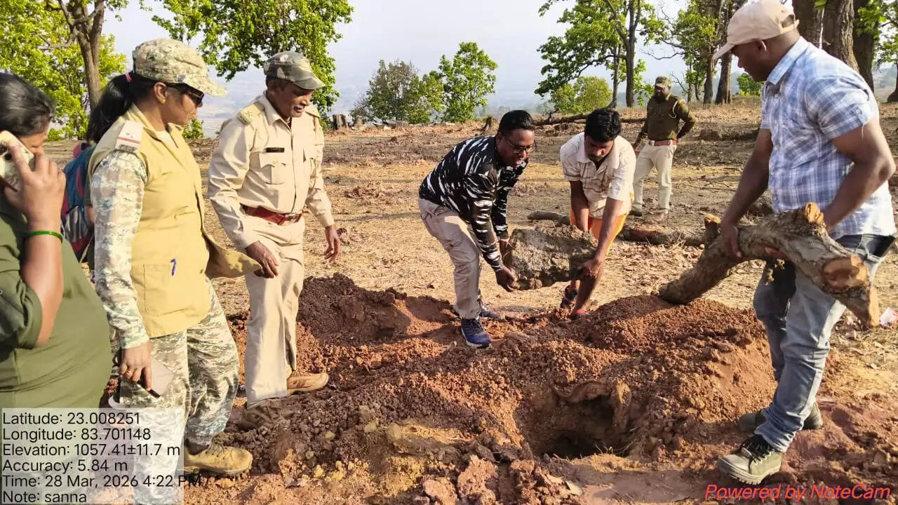 जशपुर : जंगल में अवैध बोरवेल खनन पर वन विभाग का एक्शन, दो ट्रक जब्त