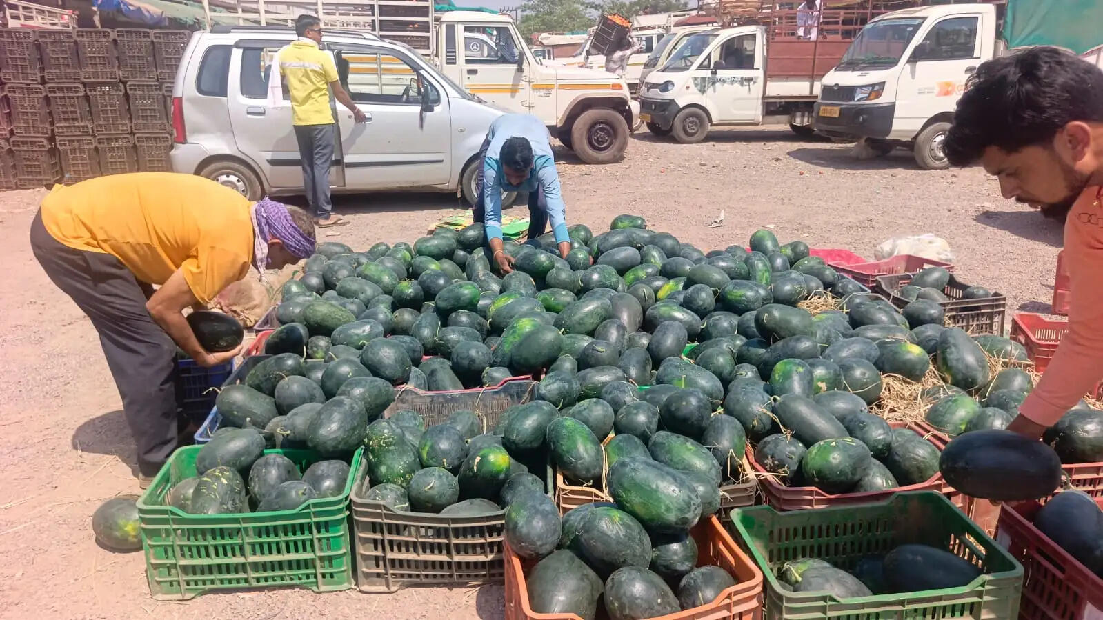 रसीले फलों की हो रही आवक, चौक -चौराहों पर बिक रहा तरबूज
