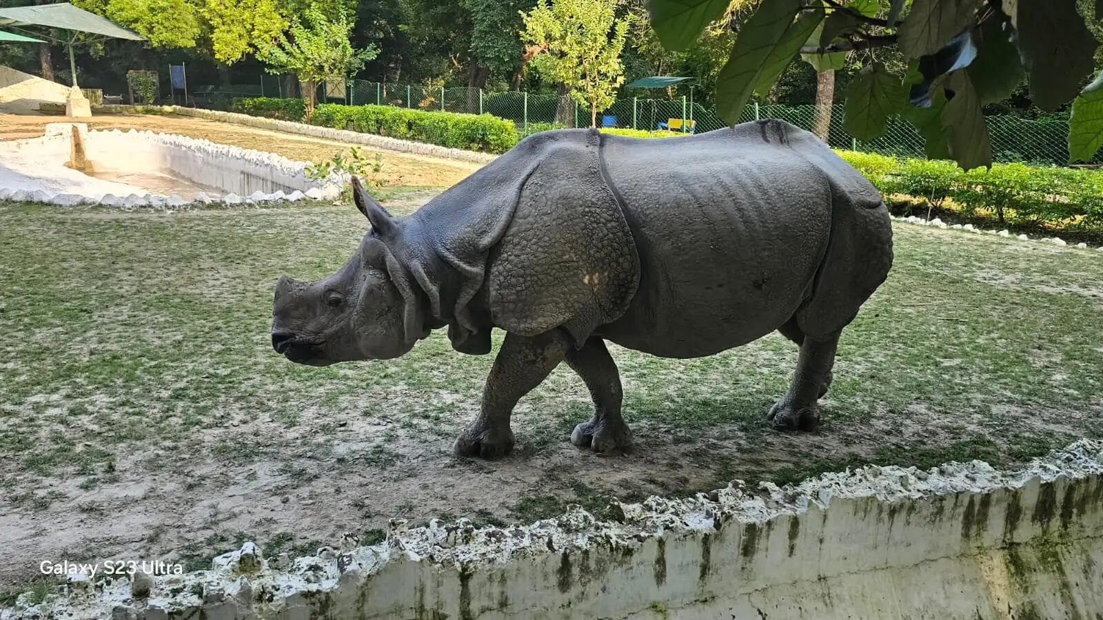 गैंडों के संरक्षण के प्रति जागरूकता जरूरी : डॉ. कन्हैया पटेल