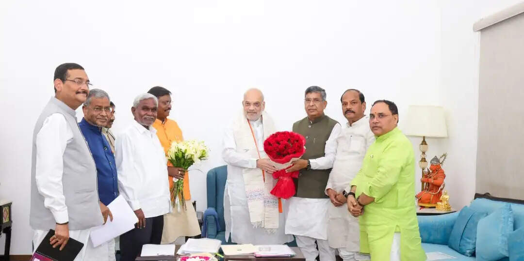 भाजपा के उच्चस्तरीय प्रतिनिधिमंडल ने अमित शाह से की मुलाक़ात, मिला मार्गदर्शन
