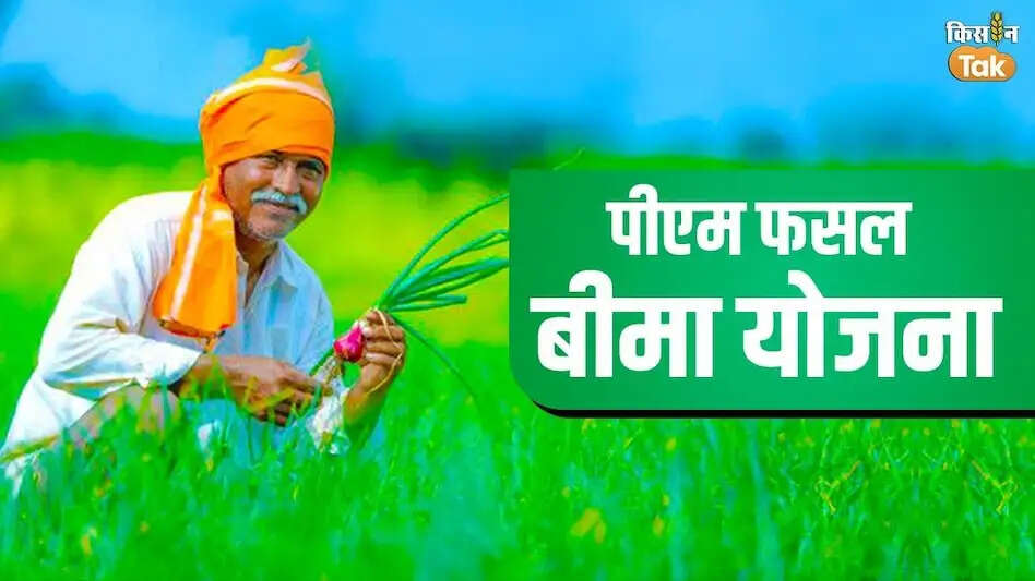 मुरादाबाद के 63 किसानों के खातों में भेजे फसल क्षतिपूर्ति के 11.78 लाख