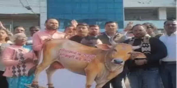 गोमांस विवाद पर कांग्रेस का निगम घेराव, ठेकेदार के घर पर बुलडोजर चलाने&nbsp;और जिम्मेदारों&nbsp;पर कार्रवाई की मांग