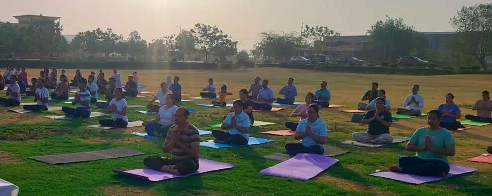 योग फॉर हेल्दी एजिंग थीम के साथ मनाया जाएगा योग दिवस