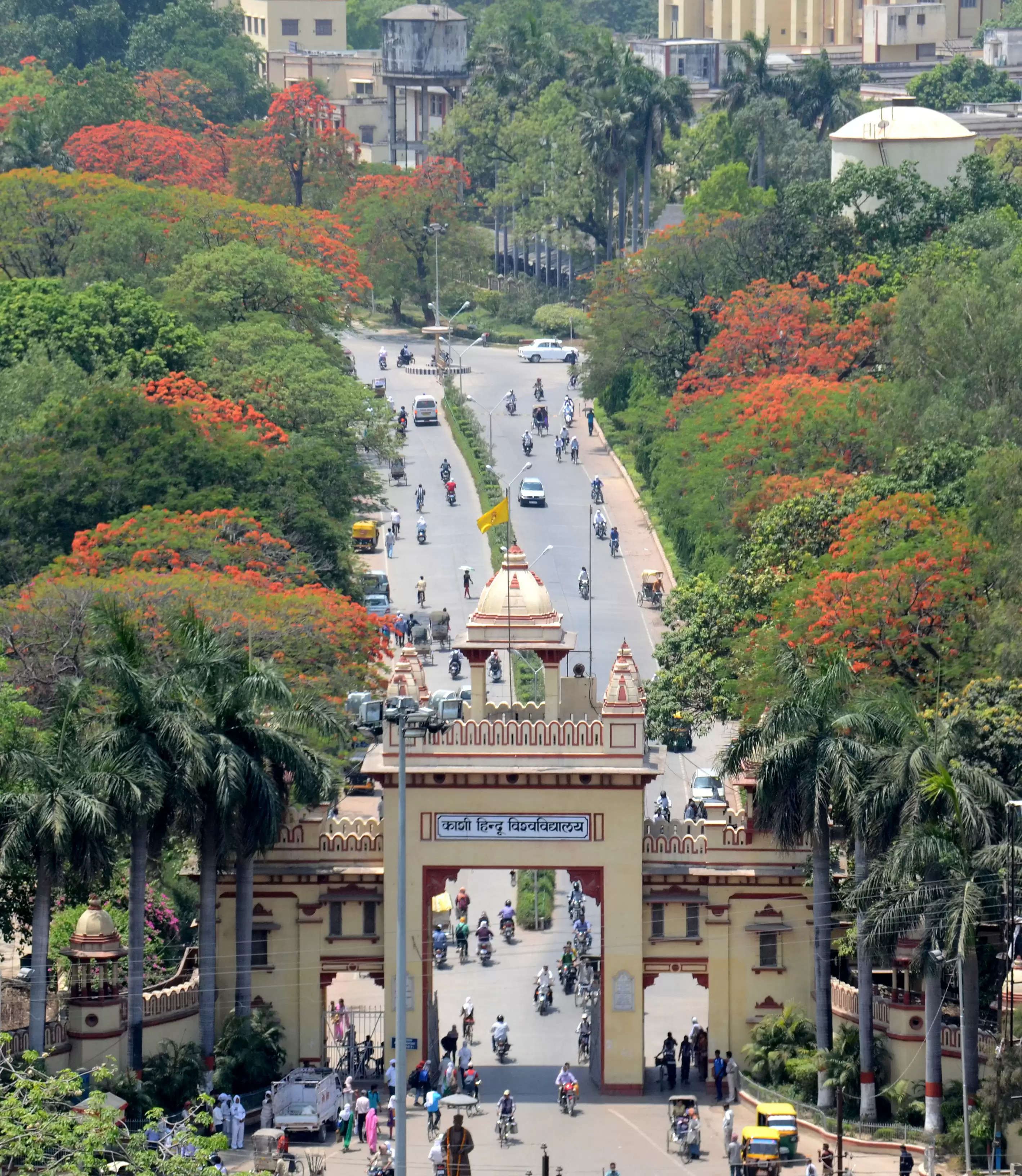 बीएचयू के प्रो. रवीन्द्र नाथ सिंह फ़ेलोशिप से सम्मानित, अनुसंधान करेंगे