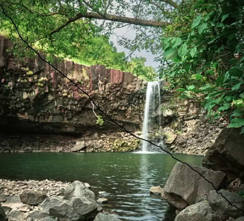 मप्रः विंध्य की गोद में बसा खिवनी अभयारण्य बन रहा इको-टूरिज्म का आकर्षण केन्द्र