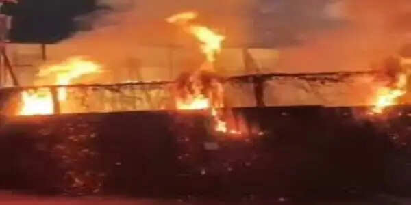 इंदौरः देर&nbsp;रात&nbsp;आतिशबाजी से मैरिज गार्डन जला, सुबह&nbsp;गोशाला में लगी भीषण आग,&nbsp;मवेशी झुलसे