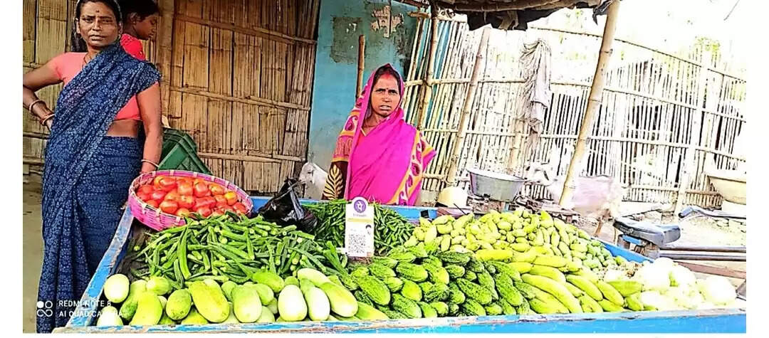 सतत जीविकोपार्जन योजना से गरीबी को दिया मात,जीविका दीदी के जीवन में आई खुशहाली