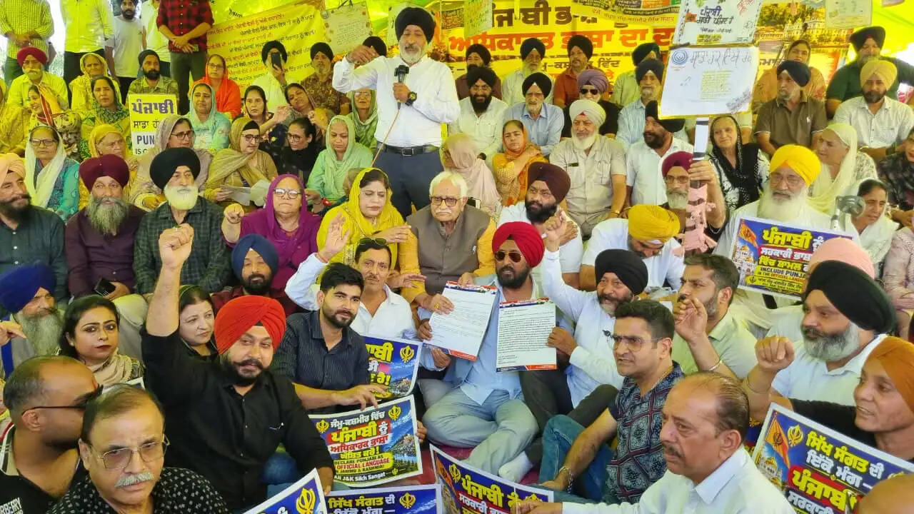 पंजाबी को आधिकारिक भाषा का दर्जा देने की मांग के समर्थन में उतरीअपनी पार्टी