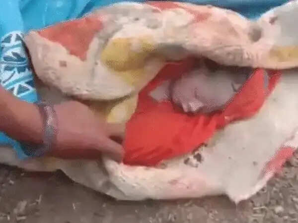 शिवपुरी में झाड़ियों में मिला एक दिन का नवजात, रोने की आवाज सुन ग्रामीणों ने बचाई जान, पुलिस ने अस्पताल पहुंचाया