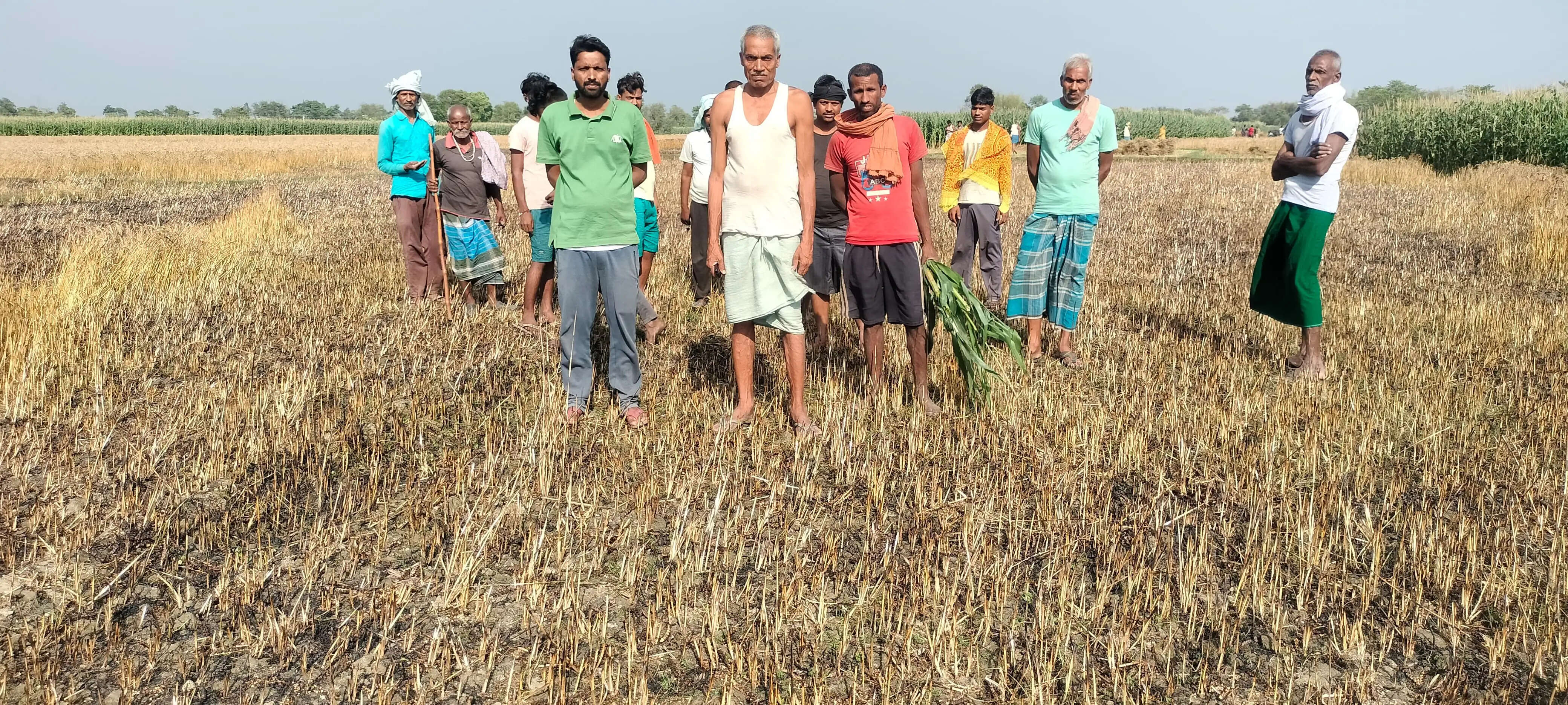 करंट से लगी आग में एक एकड़ गेहूं की फसल जली, किसानों को लाखों का नुकसान