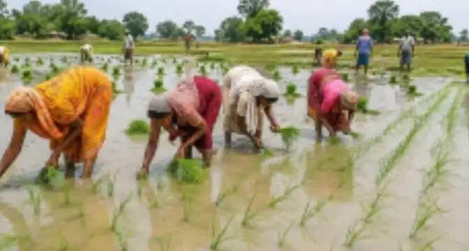 आस्था और प्रकृति के अनूठे संगम का साक्षी बना भागलपुर