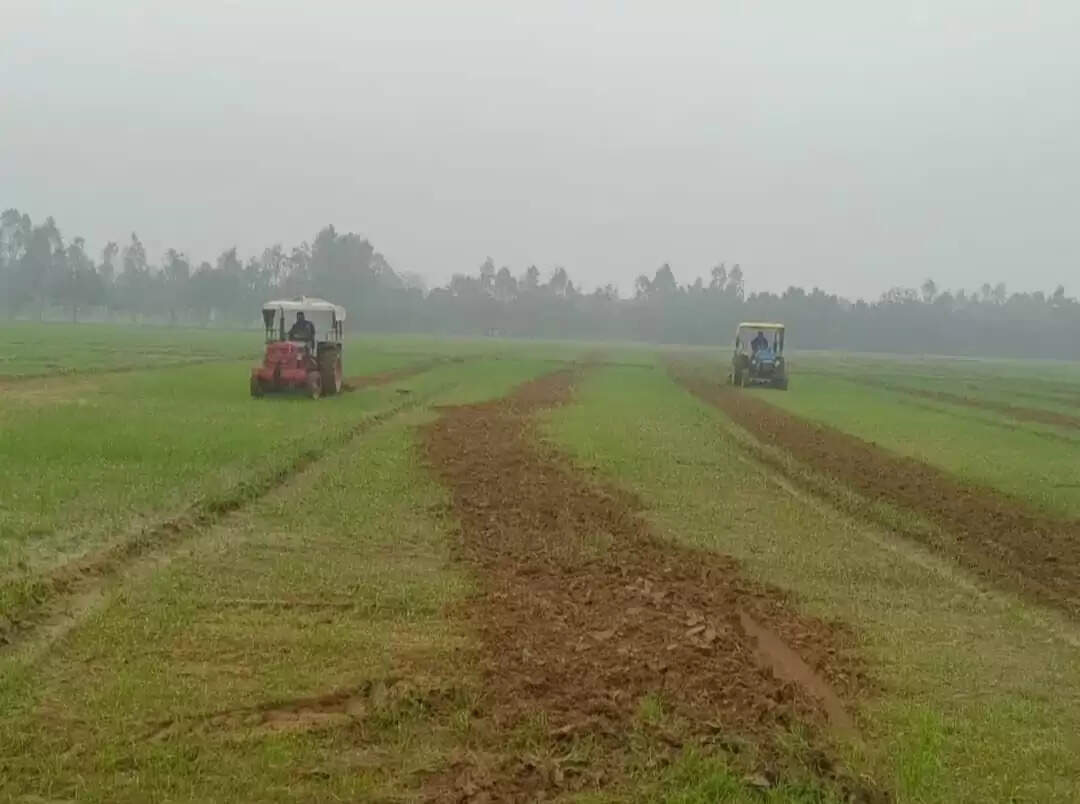 जनपद में शुक्रवार को गरजा प्रशासन का बुलडोजर