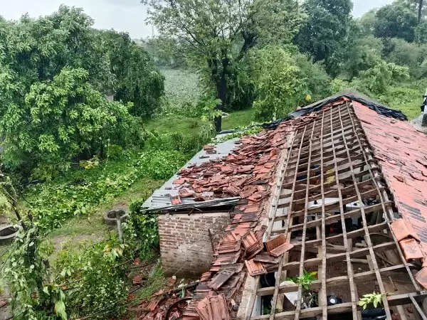 नरसिंहपुर: अम्हेटा में तूफान से उड़े छप्पर, फसलें भी जमींदोज