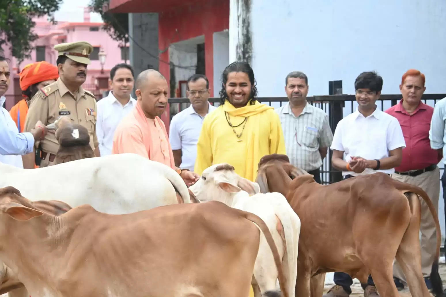 गोरखनाथ मंदिर की गोशाला में मुख्यमंत्री याेगी आदित्यनाथ ने की गोसेवा