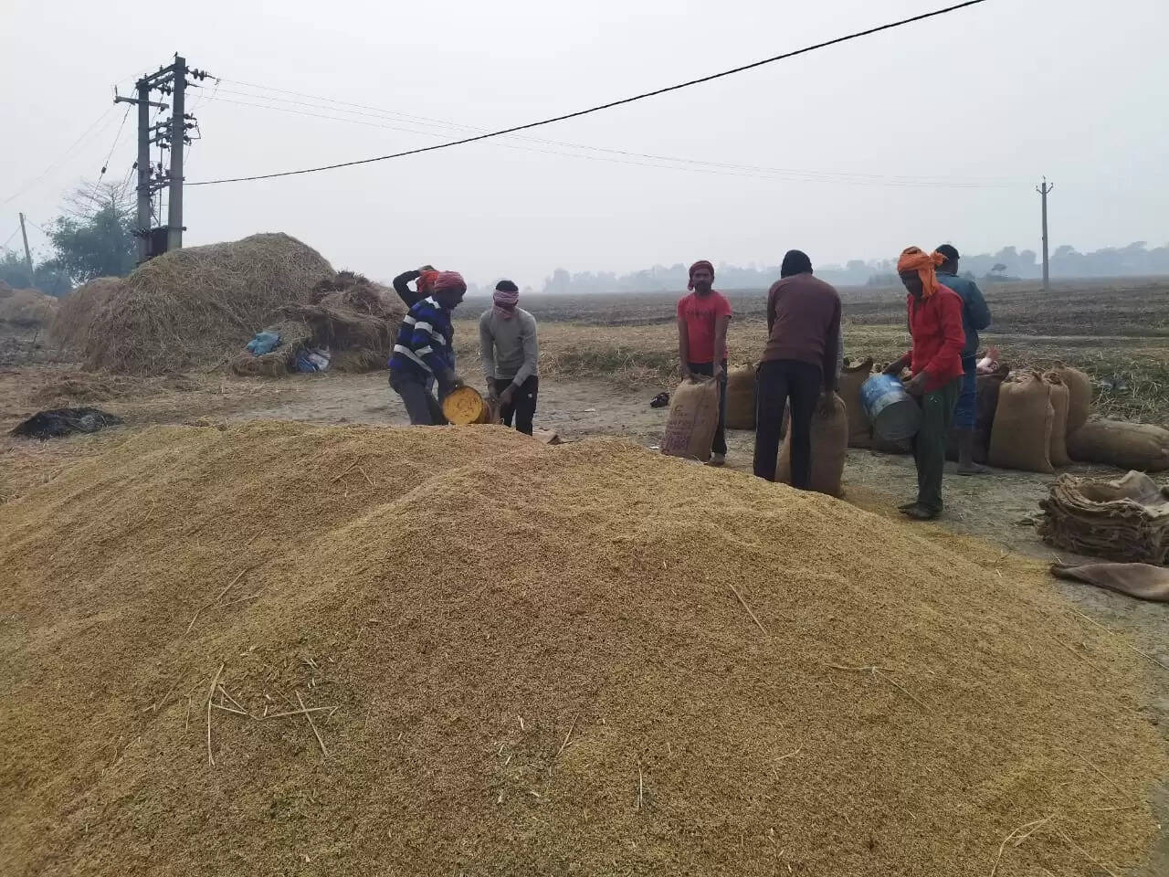 धान खरीद लक्ष्य में कटौती से किसान चिंतित