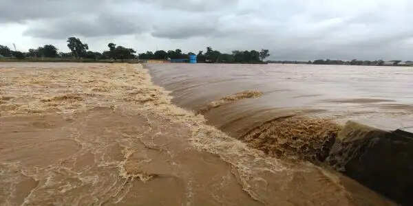 बलरामपुर में बाढ़ का खतरा, कन्हर नदी उफान पर, एनीकट के ऊपर से बह रहा पानी