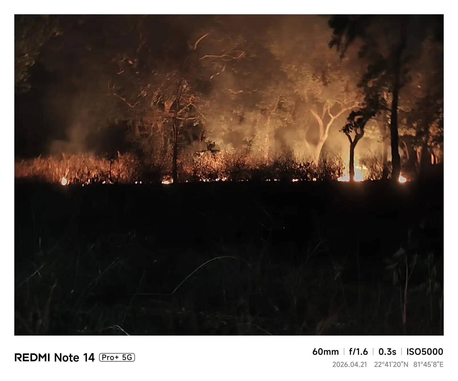 अनूपपुर: अमरकंटक के जमुना दादार, रुद्र गंगा भीषण आग, 50 हेक्टेयर क्षेत्र में 27,500 औषधीय पौधे जलकर राख