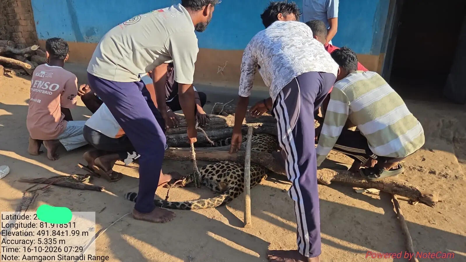 धमतरी के&nbsp;कारीपानी-बहीगांव में&nbsp;ग्रामीणों को घायल करने वाला तेंदुआ पकड़ा&nbsp;गया