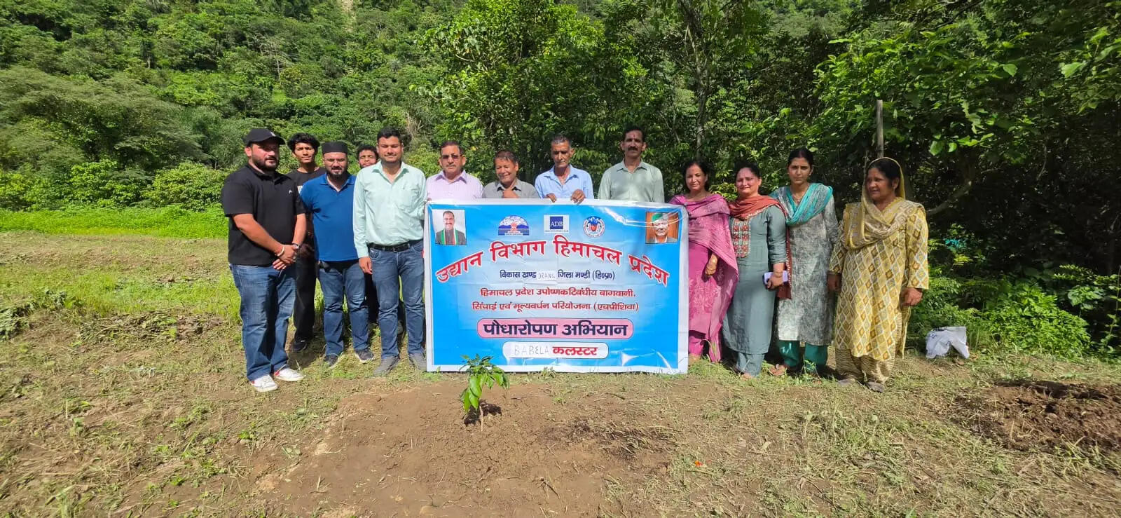 लीची की मिठास से महकेगा द्रंग: एचपी-शिवा परियोजना के तहत बबेला में रोपे गए लीची के 2010 पौधे