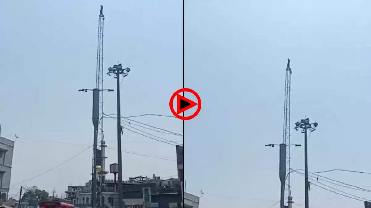 भाेपाल&nbsp;में&nbsp;युवक&nbsp;का&nbsp;हाई&nbsp;वाेल्टेज&nbsp;ड्रामा,&nbsp;नशे&nbsp;में&nbsp;धुत&nbsp;हाेकर&nbsp;80 फीट ऊंचे टावर पर चढ़ा