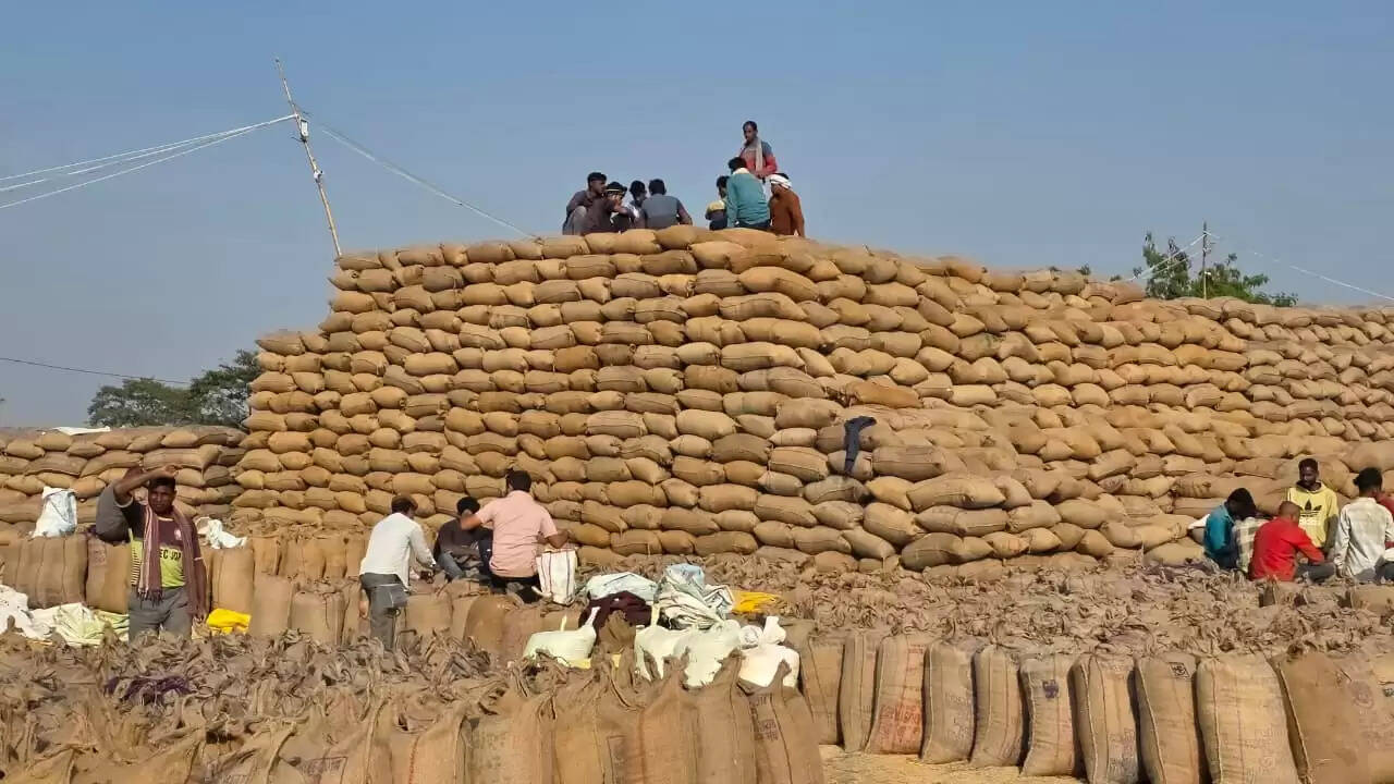 सरगुजा: जिले में अब तक 21 लाख 15 हजार क्विंटल से अधिक धान की खरीद