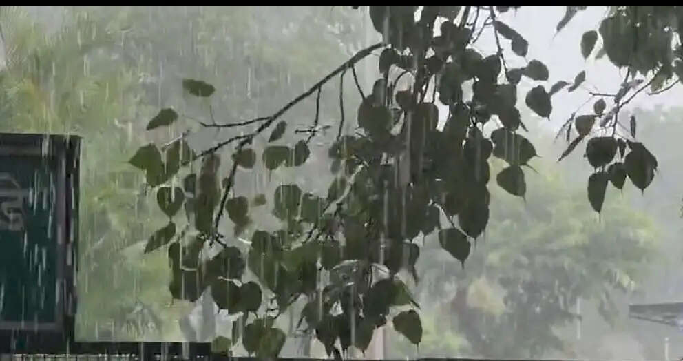 देहरादून में दोपहर बाद बदला मौसम का मिजाज, ओलावृष्टि और बारिश से मिली राहत
